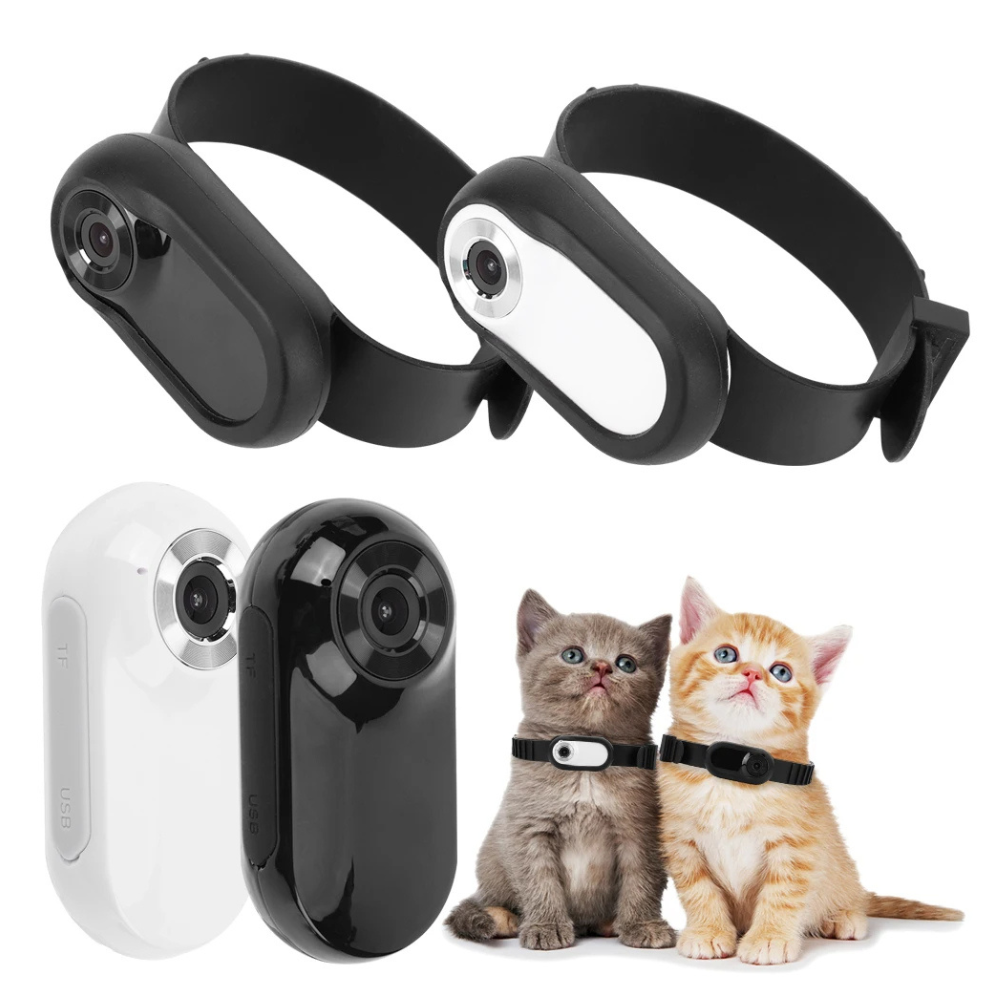 Pet Camera Collar HD