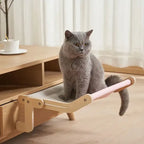 Cat Window Hammock Bed