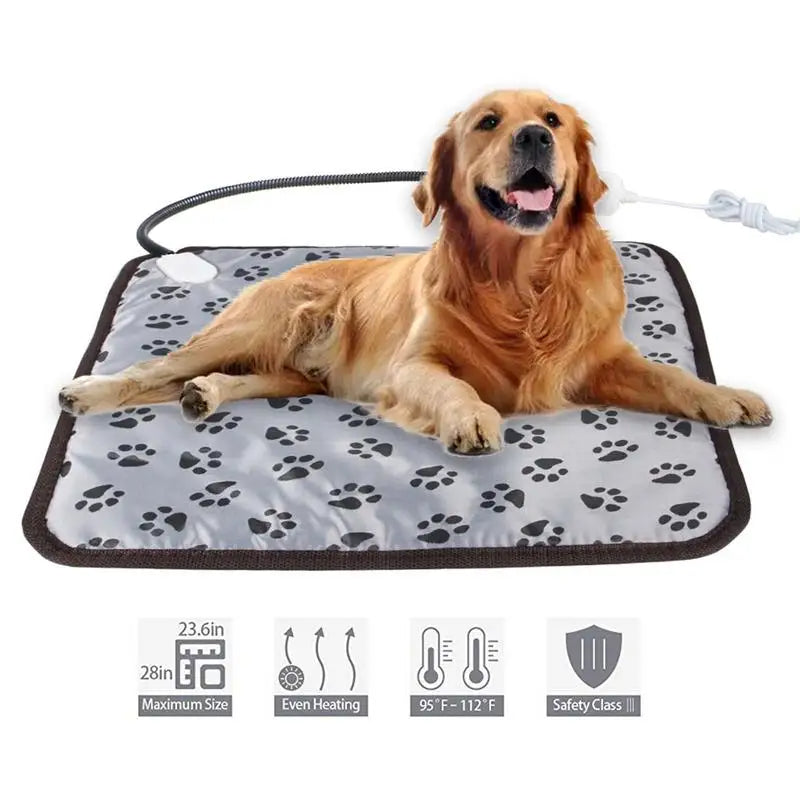 Heated Pet Blanket