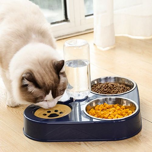 Raised Dog Bowl Set (3 in 1)