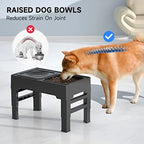 Elevated Dog Bowl Stand