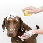 Dog Bath Brush with Shampoo Dispenser