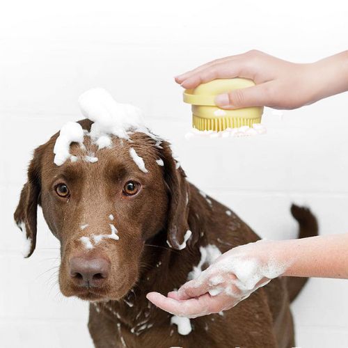 Dog Bath Brush with Shampoo Dispenser