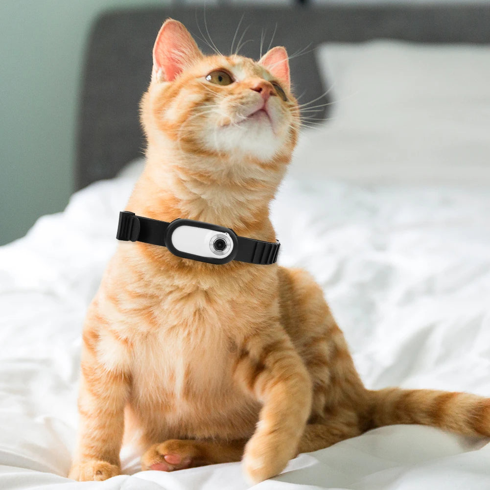 Pet Camera Collar HD