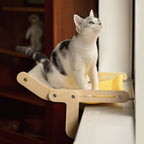 Cat Window Hammock Bed