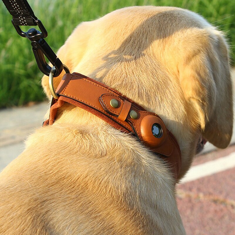 Leather Dog Collar with AirTag Holder