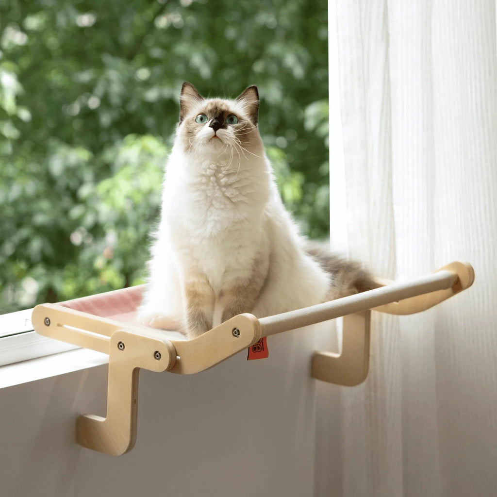 Cat Window Hammock Bed