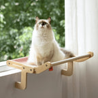 Cat Window Hammock Bed