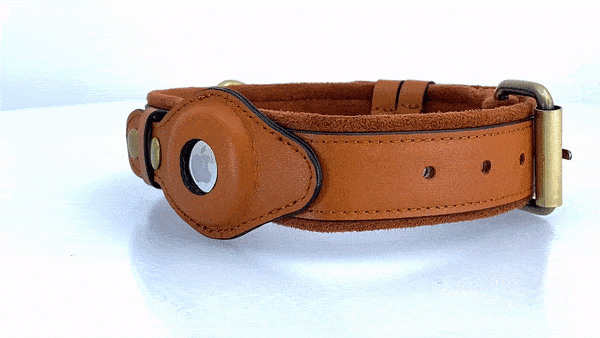 Leather Dog Collar with AirTag Holder