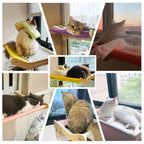 Cat Window Hammock Bed