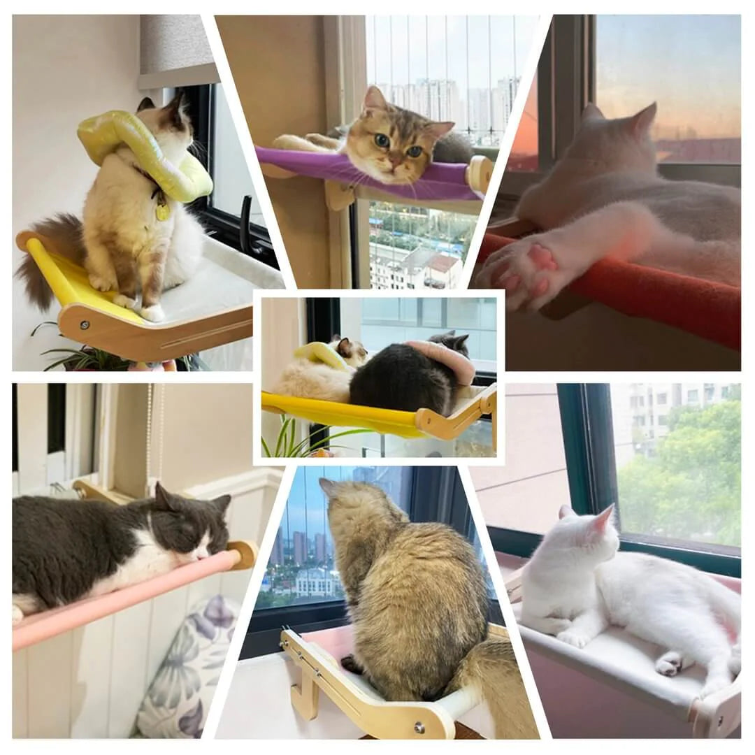 Cat Window Hammock Bed