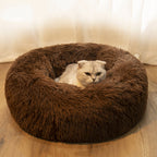 Calming Donut Dog Bed