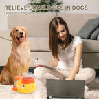 Dog Puzzle Feeder Toy