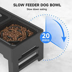 Elevated Dog Bowl Stand