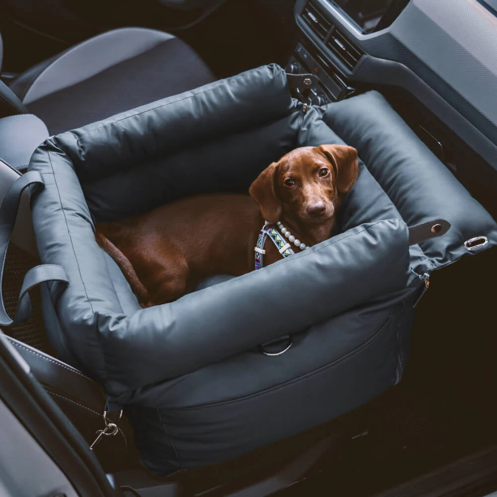 Dog Car Booster Seat with Safety Harness