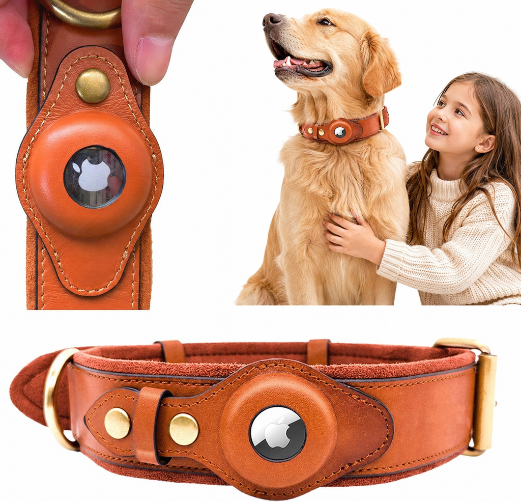 Leather Dog Collar with AirTag Holder