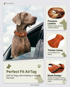 Leather Dog Collar with AirTag Holder